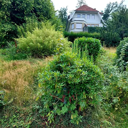 Panoramablick Apartment Bad Harzburg Exterior photo