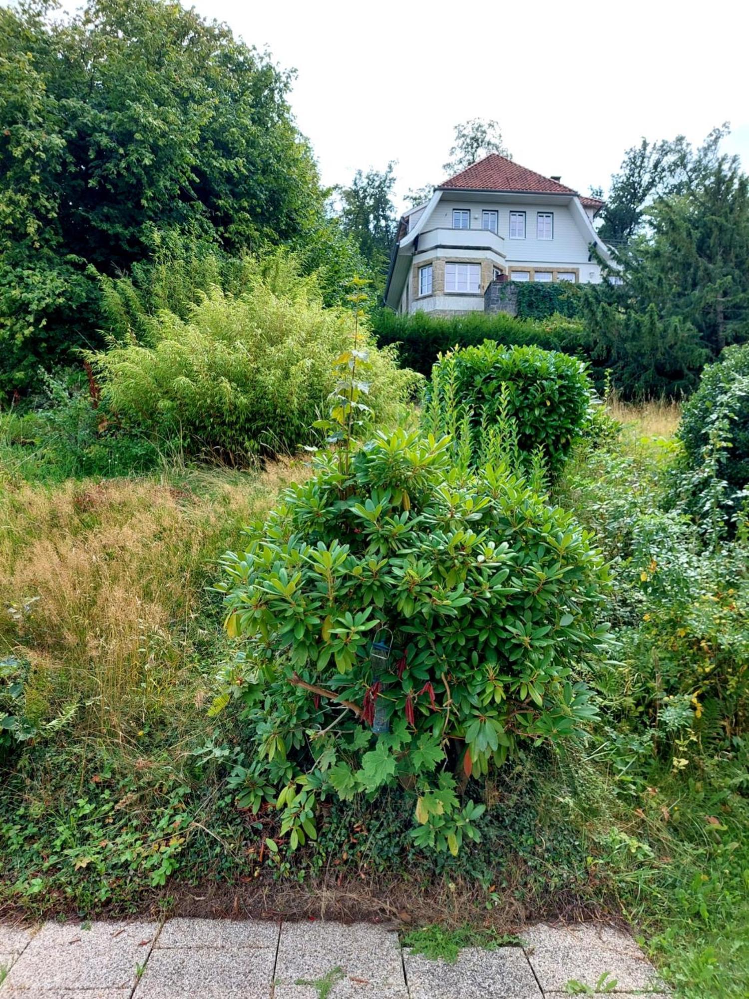 Panoramablick * Bad Harzburg
