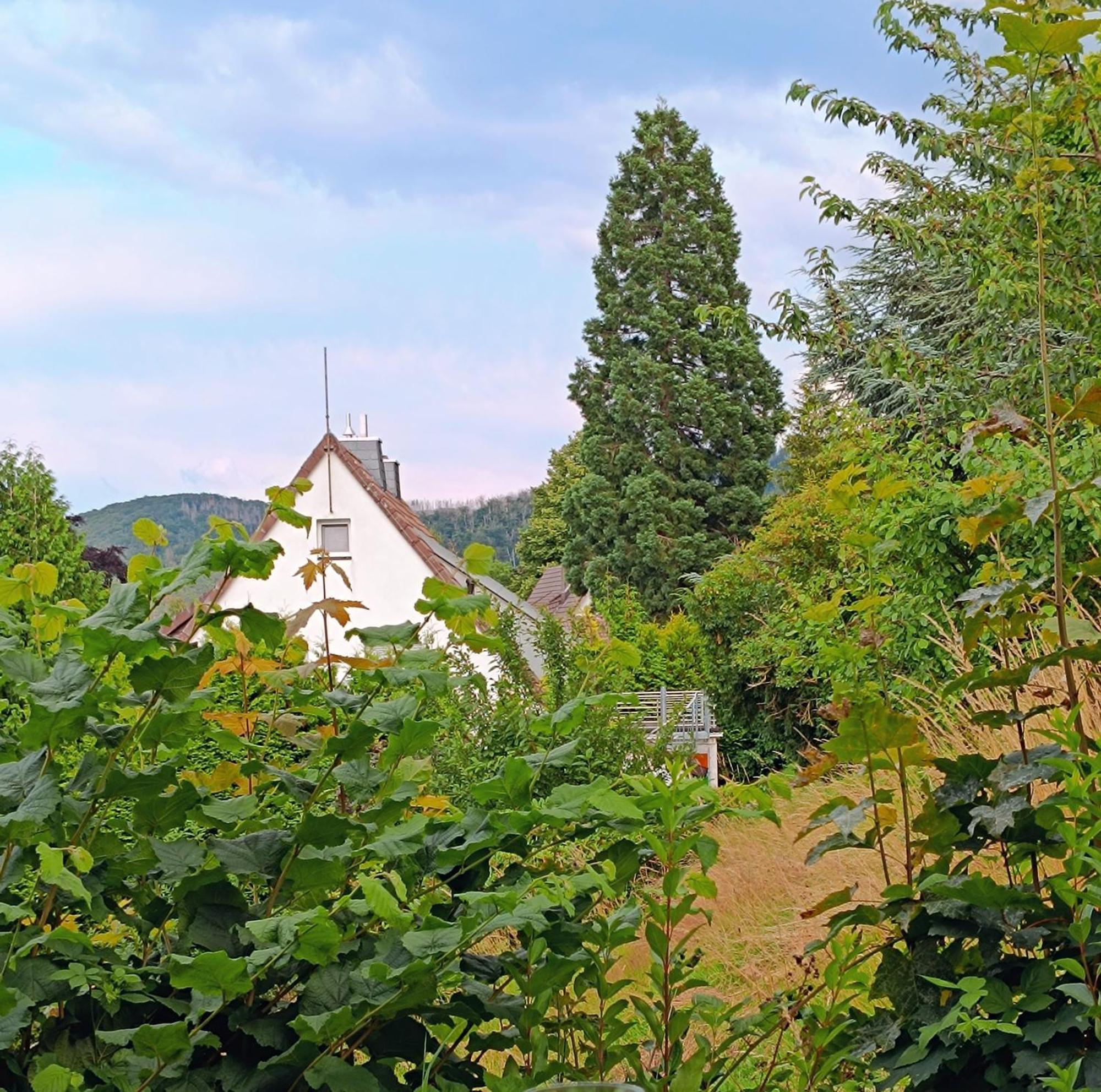 Panoramablick * Bad Harzburg